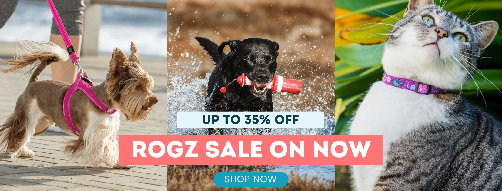 Rogz Sale