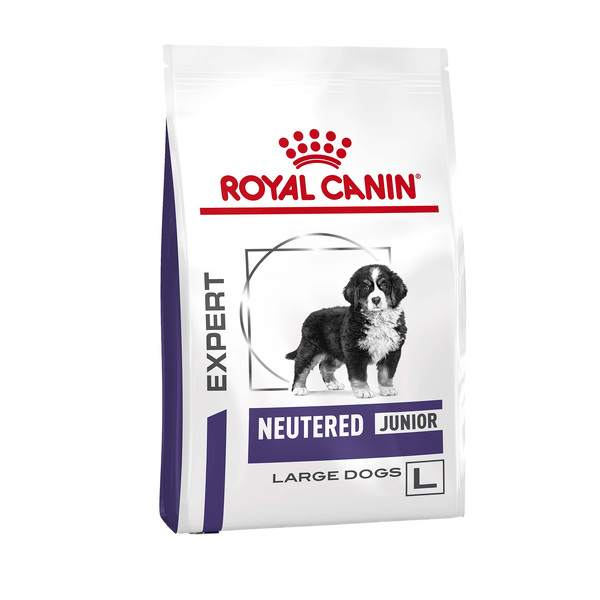 Royal canin junior 2024 large dog pediatric