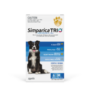 Simparica Trio 7 PACK for dogs 10.1-20kg - Flea, Tick,Worm ( 6 pk plus 1 single dose pack) - SEVEN PACK 