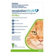 Revolution Plus for Cats 5.1-10kg Green - 6 pack  