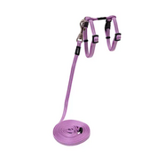 Rogz Alleycat Harness & Lead Set Small - Lilac