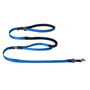 Rogz Control Lead Blue Xlge **SALE** 