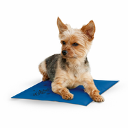 K & H Coolin' Pet Pad - XSmall (38 x 28cm)