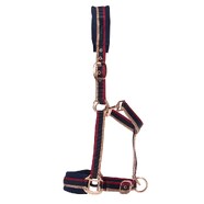 Rancher Fleece Padded Halter w/Lead - Cob