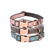 Rogz Urban Classic Collar for Dogs