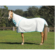 Kool Master Flag Rug - White & Turquoise [Size: 5'3 ]