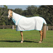 Kool Master Flag Combo Rug - White & Turquoise [Size: 5'9"]