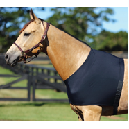 Horsemaster Lycra Shoulder Guard - Black Large