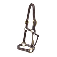 Thoroughbred Brown Leather Nameplate Halter