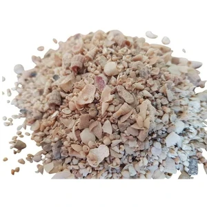 Medium Shell Grit 2kg