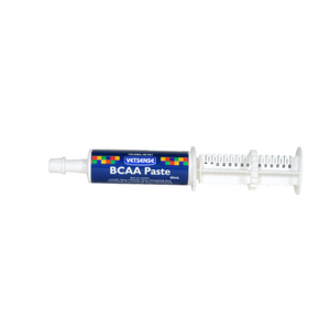 BCAA Oral Paste 60ml