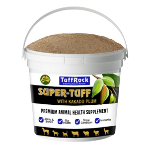 Tuffrock Super-Tuff 2.5kg