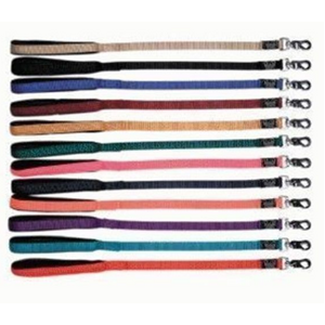 Soft Padded Nylon Leash 1" x 4'