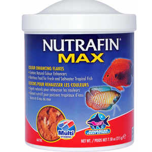 Nutrafin Max Tropical Colour Enhance Flakes