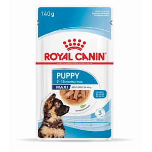 Royal Canin Maxi Junior Puppy 140g x 10