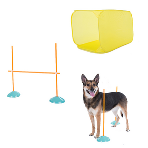 Outward Hound ZipZoom Agility KIt Indoor