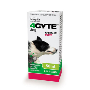 4Cyte Epiitalis Forte Liquid gel for DOGS 50ML