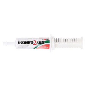 Value Plus Electrolyte 2 Paste 60ml