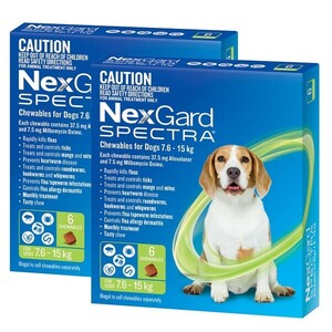 Nexgard Spectra for dogs 7.6 - 15kg Green 12pk for Medium dogs (2x 6pk) *Expiry Date March 2026 