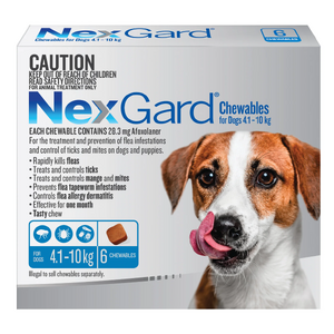 Nexgard Medium Dog 4-10kg pack of 6