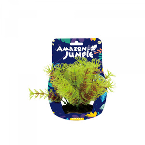 Amazon Jungle Myriophyllum Display 10-12cm