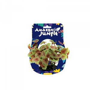 Amazon Jungle Flame Castella Display 10-12cm