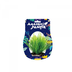 Amazon Jungle Spike Grass Display 10-12cm