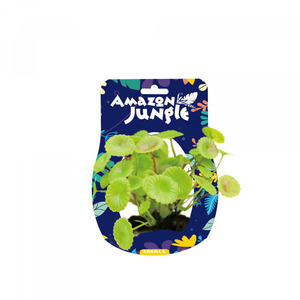 Amazon Jungle Pennywort Display 10-12cm