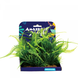 Amazon Jungle Amazon Fern Display 15cm