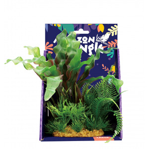 Amazon Jungle Mixed Aponogeton Display 20cm