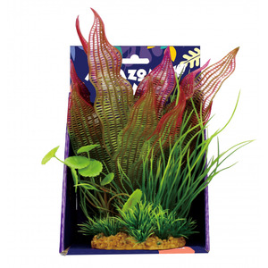 Amazon Jungle Mixed Madagascar Display 20cm