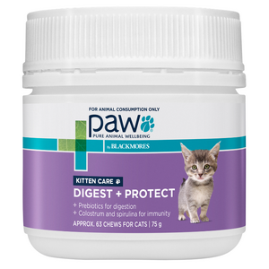 Paw Digest + Protect Kitten Care Chews 75gm