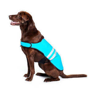 cooling vest for labrador