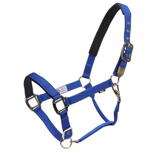 GG Australia Deluxe Nylon Halter - Blue