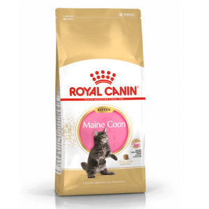 Royal Canin Main Coon Kitten Dry Food