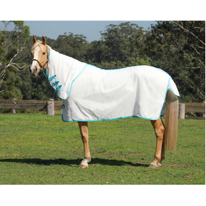 Kool Master Flag Rug - White & Turquoise [Size: 5'3 ]