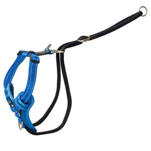 Rogz Control Stop Pull Harness Blue XLge