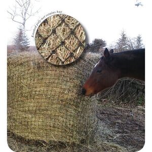 Show Master Round Bale Poly Slow Feed Haynet [Please choose size: medium 5' x 4'] 